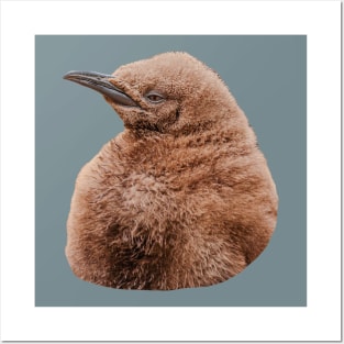 Cute baby King Penguin Posters and Art